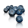 Tropical Medical Fruit of Florida - www.tropicalmedicalfruit.com