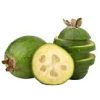 Tropical Medical Fruit of Florida - www.tropicalmedicalfruit.com