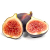 Tropical Medical Fruit of Florida - www.tropicalmedicalfruit.com