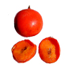 Tropical Medical Fruit of Florida - www.tropicalmedicalfruit.com