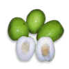 Tropical Medical Fruit of Florida - www.tropicalmedicalfruit.com