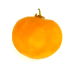 Tropical Medical Fruit of Florida - www.tropicalmedicalfruit.com