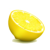 Tropical Medical Fruit of Florida - www.tropicalmedicalfruit.com