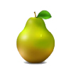 Tropical Medical Fruit of Florida - www.tropicalmedicalfruit.com