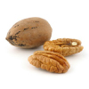 Tropical Medical Fruit of Florida - www.tropicalmedicalfruit.com