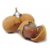 Tropical Medical Fruit of Florida - www.tropicalmedicalfruit.com