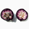 Tropical Medical Fruit of Florida - www.tropicalmedicalfruit.com