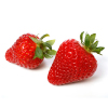 Tropical Medical Fruit of Florida - www.tropicalmedicalfruit.com