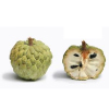 Tropical Medical Fruit of Florida - www.tropicalmedicalfruit.com