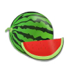 Tropical Medical Fruit of Florida - www.tropicalmedicalfruit.com