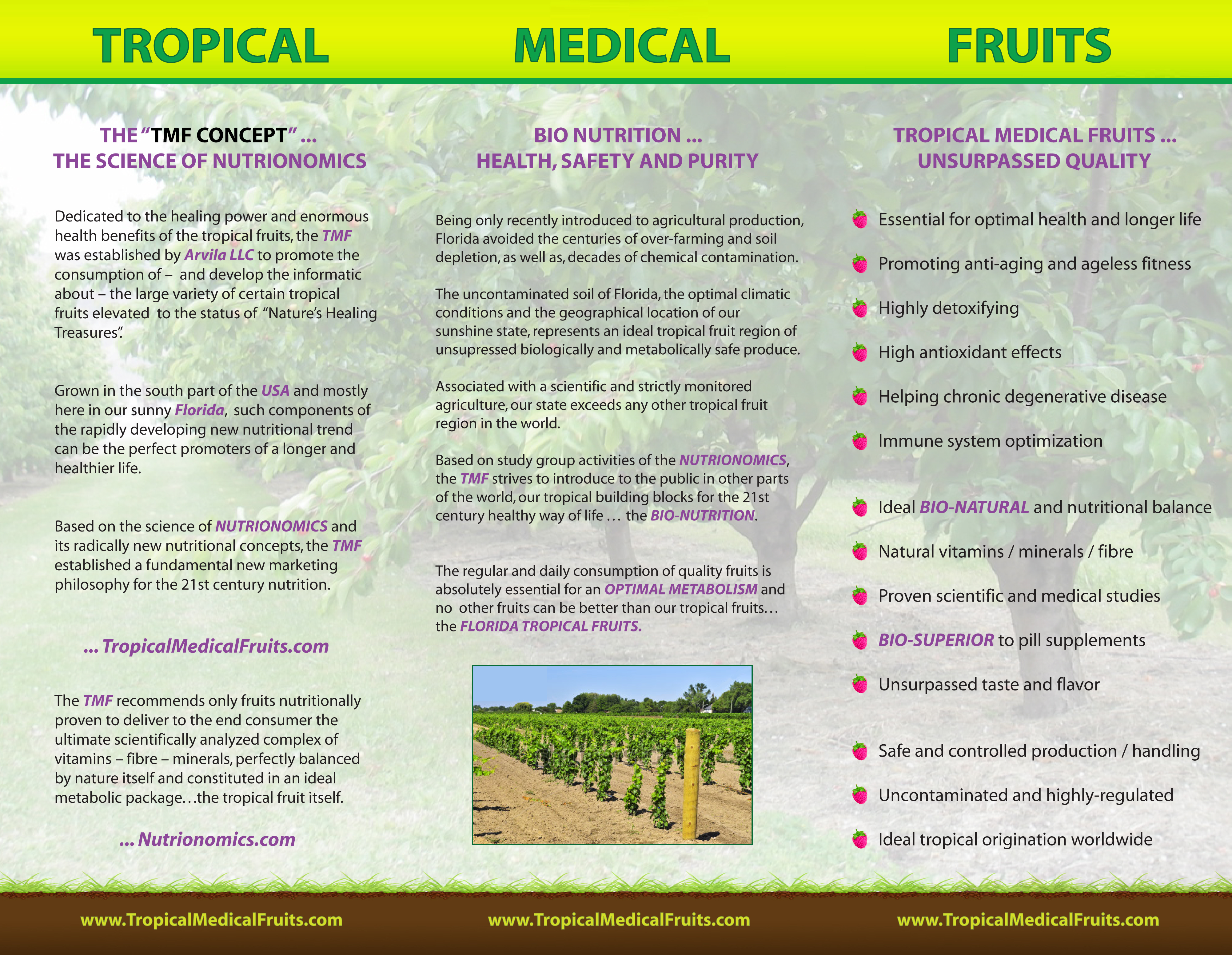 Brochure - TMF - Tropical Medical Fruits of Florida - www.tropicalmedicalfruits.com