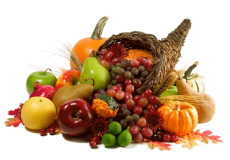 Logo - Tropical Medical  Fruits of Florida - www.tropicalmedicalfruits.com