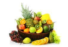 Logo - Tropical Medical  Fruits of Florida - www.tropicalmedicalfruits.com